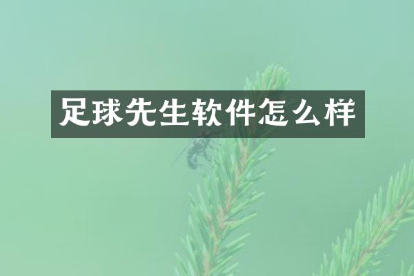 足球先生软件怎么样