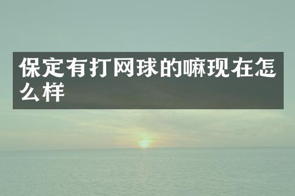 保定有打网球的嘛现在怎么样