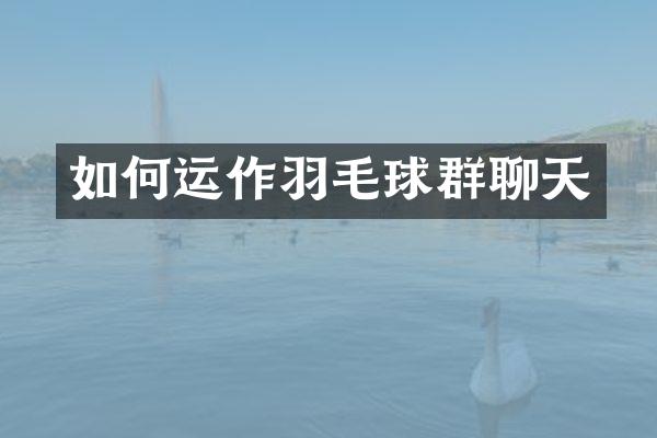 如何运作羽毛球群聊天