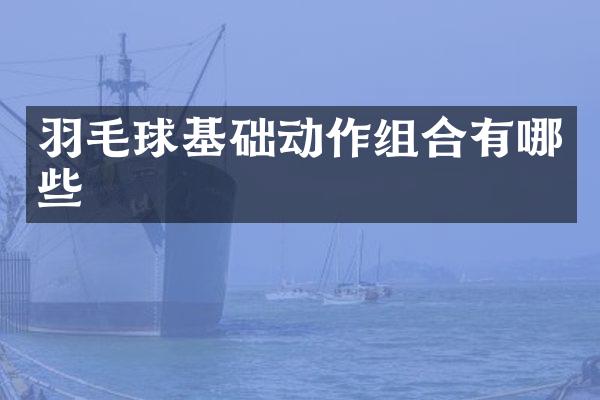 羽毛球基础动作组合有哪些