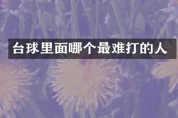 台球里面哪个最难打的人