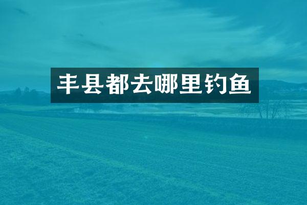 丰县都去哪里钓鱼