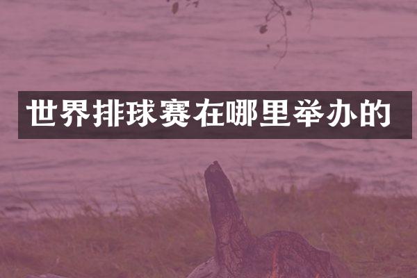 世界排球赛在哪里举办的