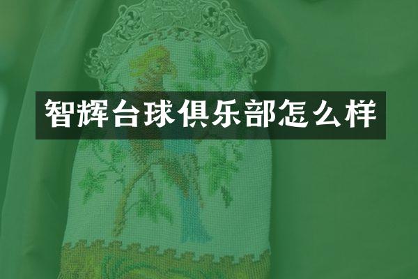 智辉台球俱乐部怎么样