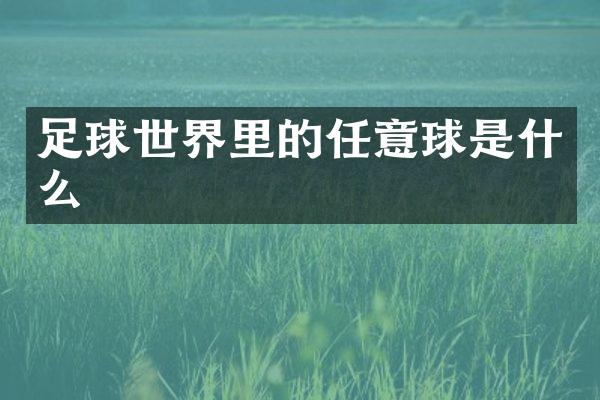 足球世界里的任意球是什么