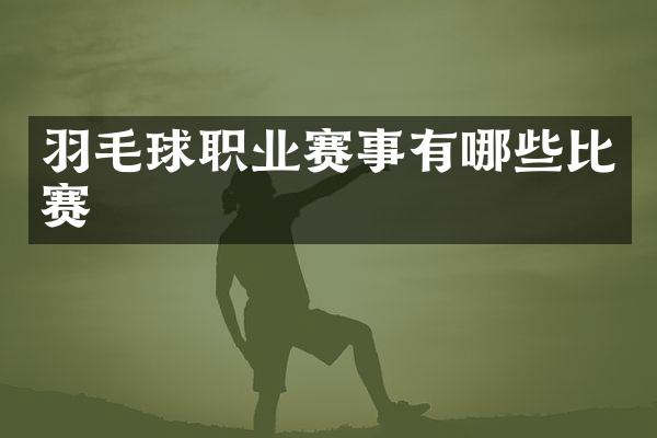羽毛球职业赛事有哪些比赛