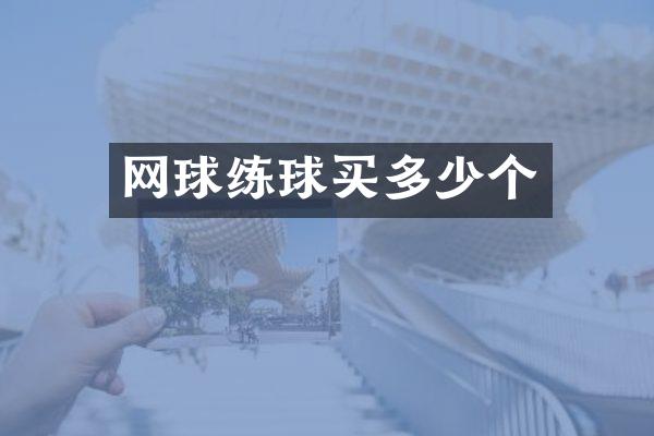 网球练球买多少个