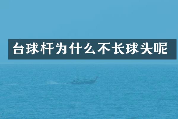 台球杆为什么不长球头呢