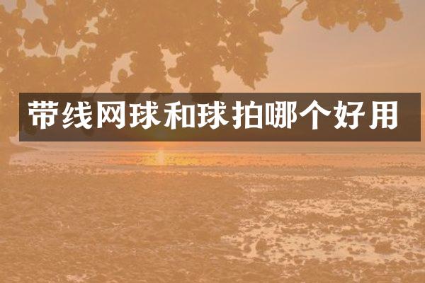 带线网球和球拍哪个好用