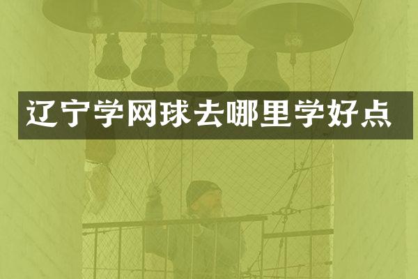 辽宁学网球去哪里学好点
