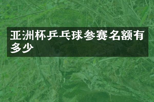 亚洲杯乒乓球参赛名额有多少