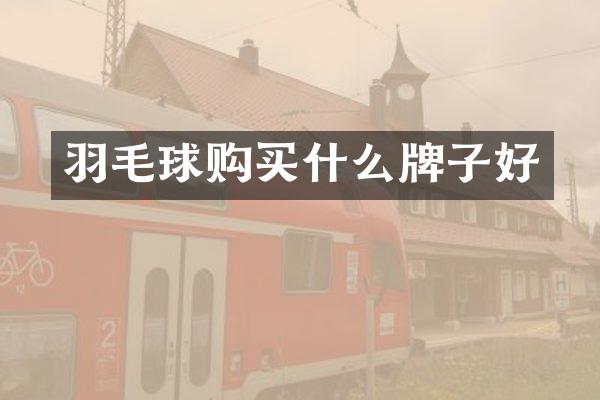 羽毛球购牌子好