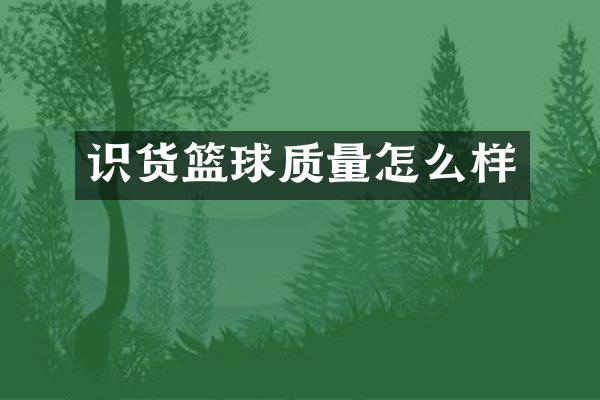 识货篮球质量怎么样