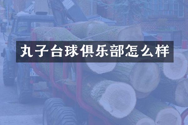 丸子台球俱乐部怎么样