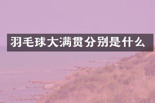 羽毛球分别是什么