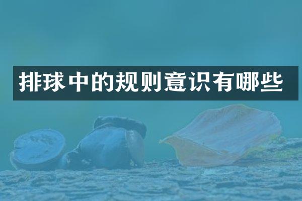 排球中的规则意识有哪些