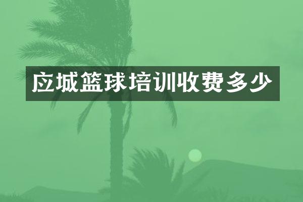 应城篮球培训收费多少