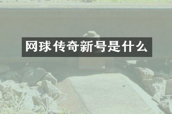 网球传奇新号是什么