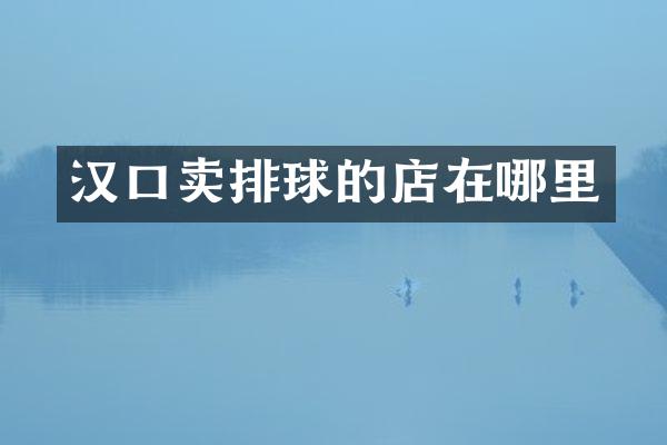 汉口卖排球的店在哪里