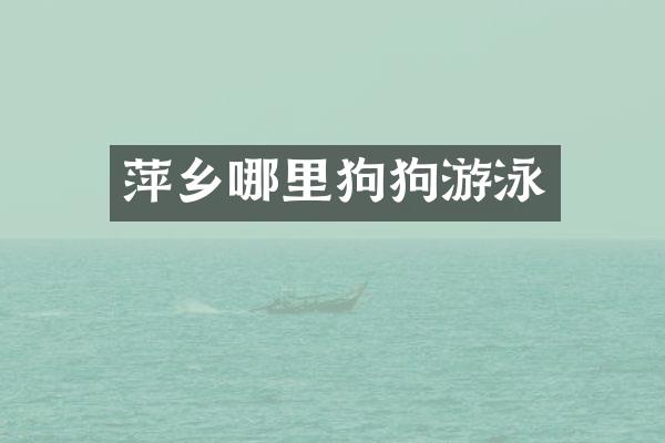 萍乡哪里狗狗游泳