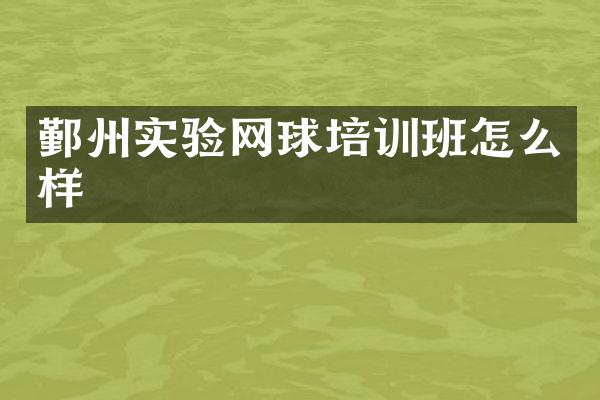 鄞州实验网球培训班怎么样