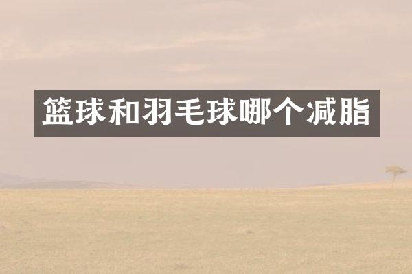 篮球和羽毛球哪个减脂