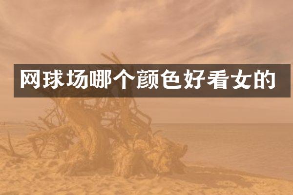 网球场哪个颜色好看女的