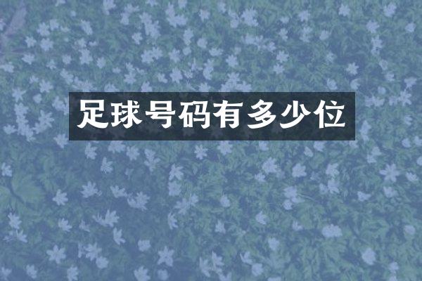 足球号码有多少位