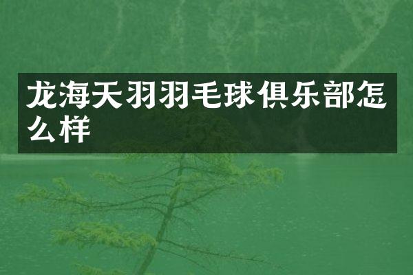 龙海天羽羽毛球俱乐部怎么样