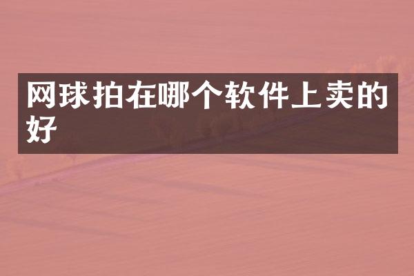网球拍在哪个软件上卖的好
