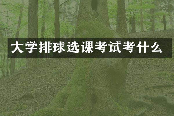 大学排球选课考试考什么