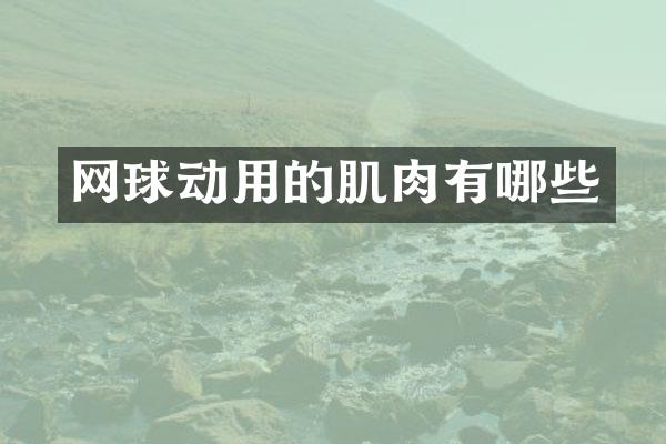 网球动用的肌肉有哪些