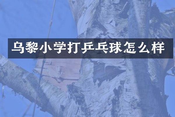 乌黎小学打乒乓球怎么样