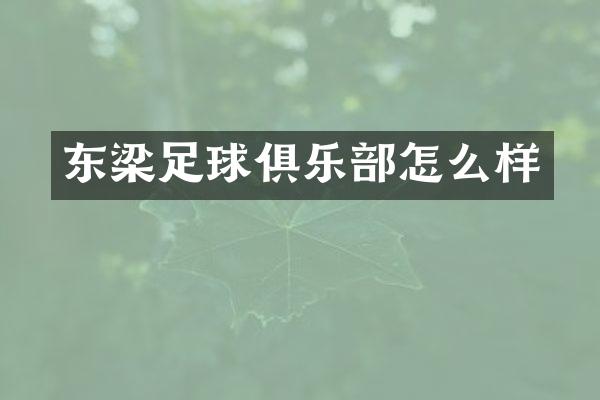 东梁足球俱乐部怎么样