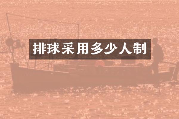 排球采用多少人制