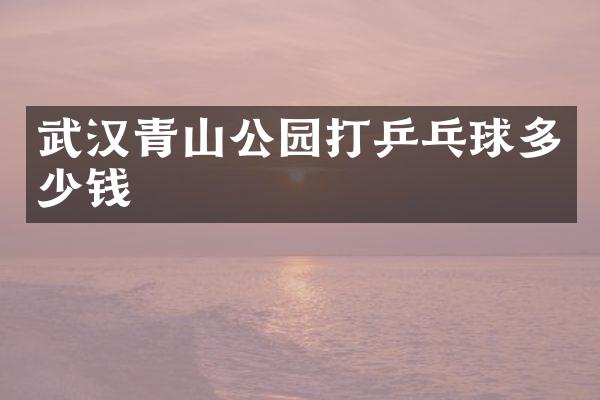 武汉青山公园打乒乓球多少钱