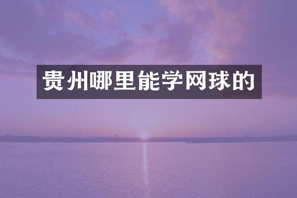 贵州哪里能学网球的