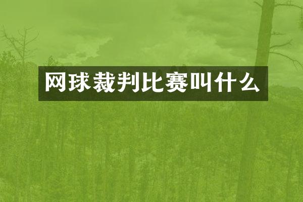 网球裁判比赛叫什么