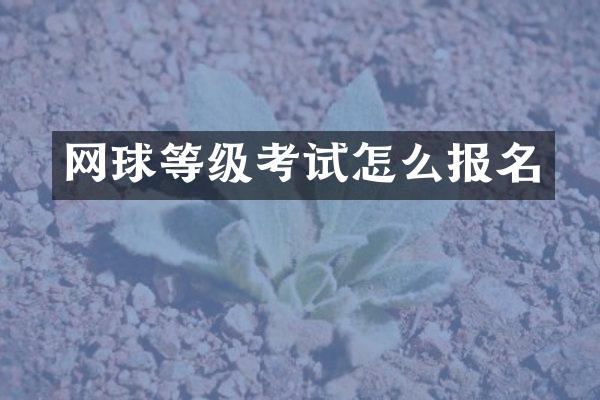 网球等级考试怎么报名