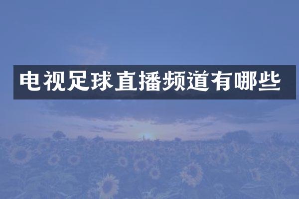 电视足球直播频道有哪些