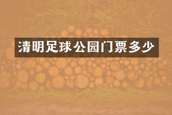 清明足球公园门票多少