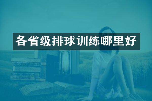 各省级排球训练哪里好
