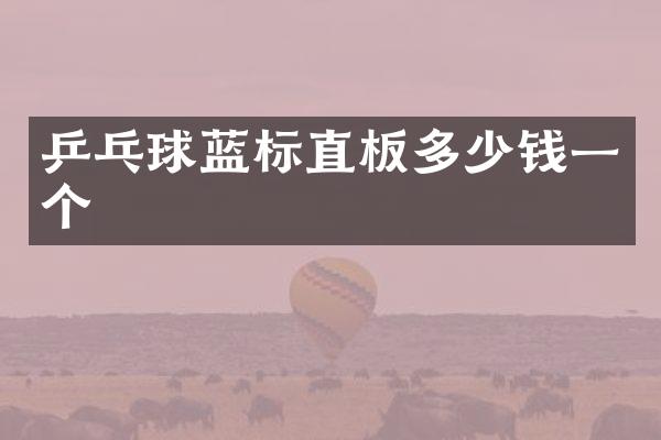 乒乓球蓝标直板多少钱一个