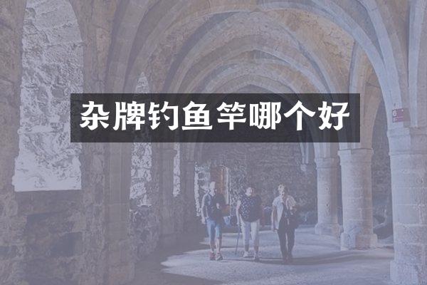 杂牌钓鱼竿哪个好