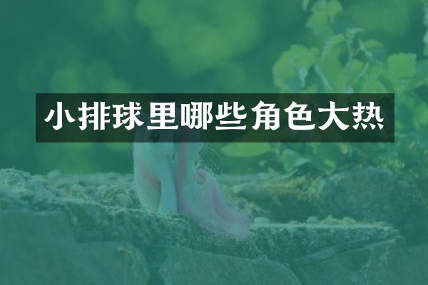 小排球里哪些角色大热