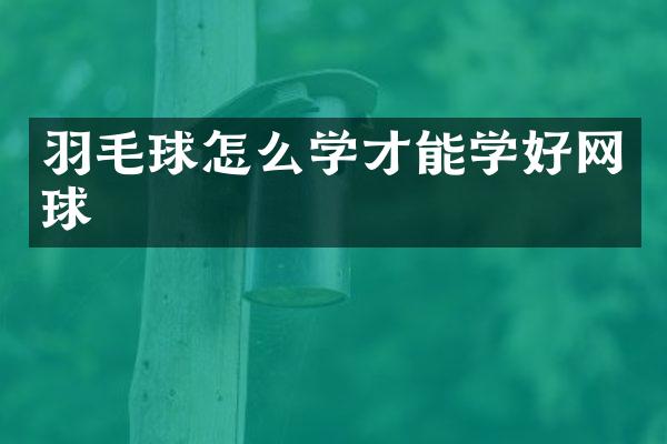 羽毛球怎么学才能学好网球
