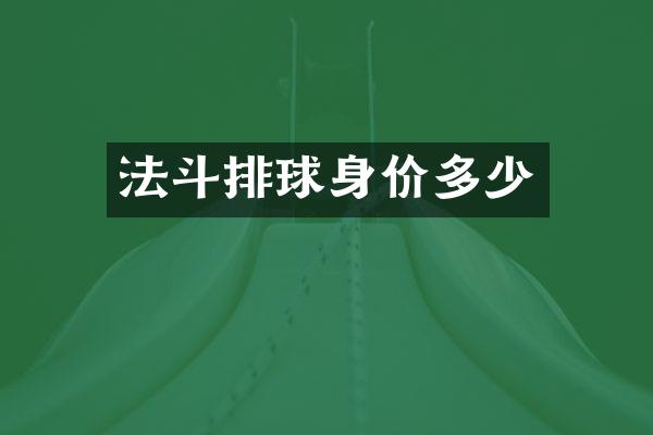 法斗排球身价多少
