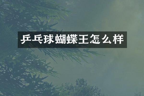 乒乓球蝴蝶王怎么样