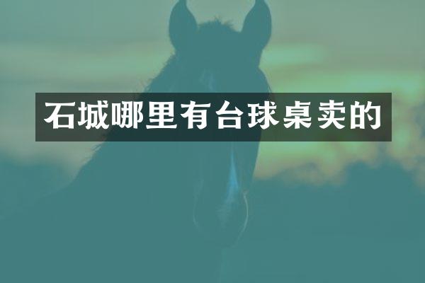 石城哪里有台球桌卖的