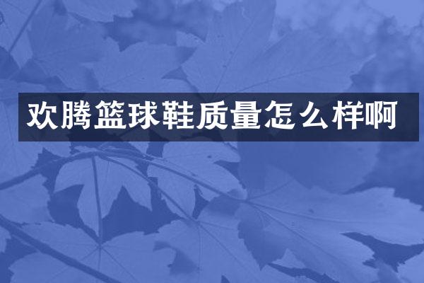 欢腾篮球鞋质量怎么样啊
